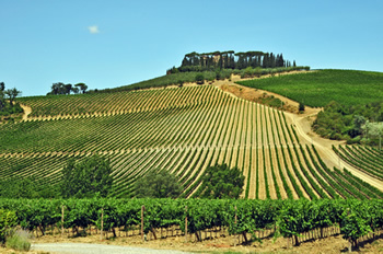 chianti-wine-tasting-tour